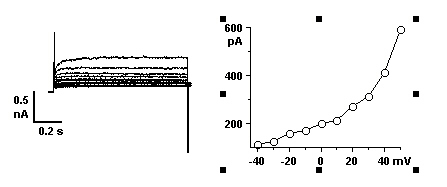 IV curve