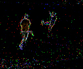 XORred image