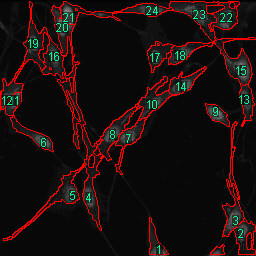 cellules